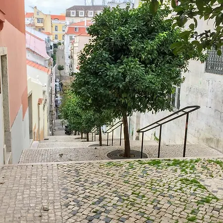 Apartman Bica-chiado Vintage Self-catering *